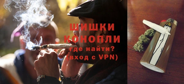 МДПВ Липки