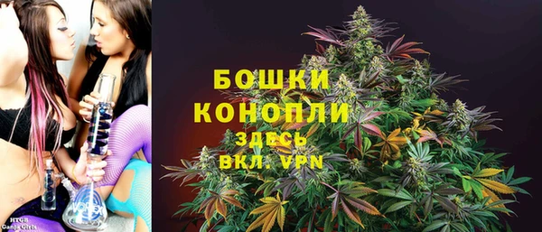 МДПВ Липки
