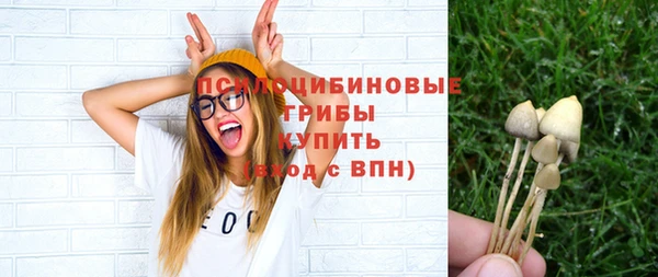 МДПВ Липки