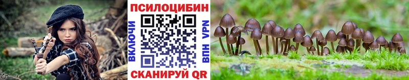 даркнет сайт  Томари  Псилоцибиновые грибы мицелий 